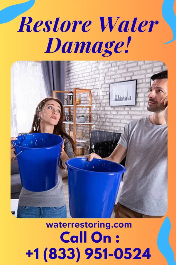 water restoration North Water Damage Contractors West Millgrove