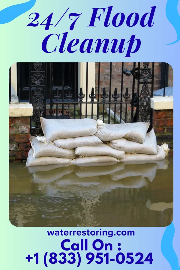 24/7 Flood Cleanup in West Millgrove, OH