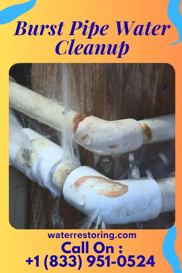 Burst Pipe Water Cleanup in West Millgrove, OH