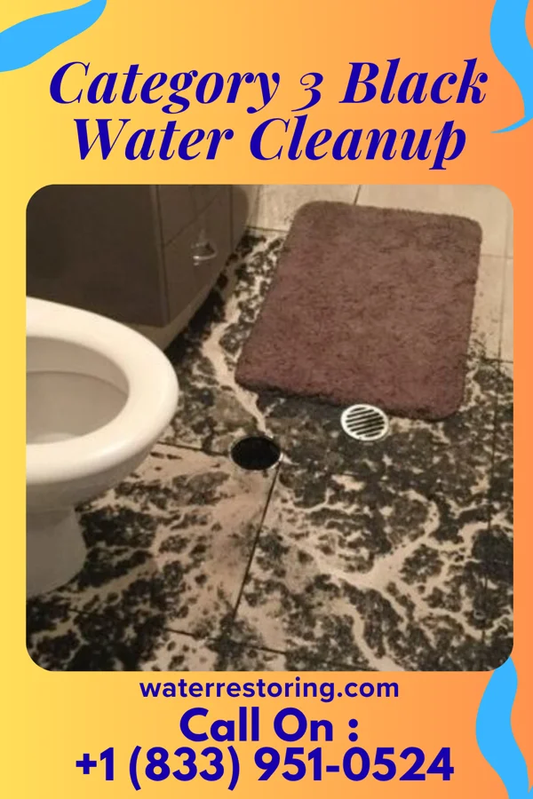 Category 3 Black Water Cleanup in West Millgrove, OH