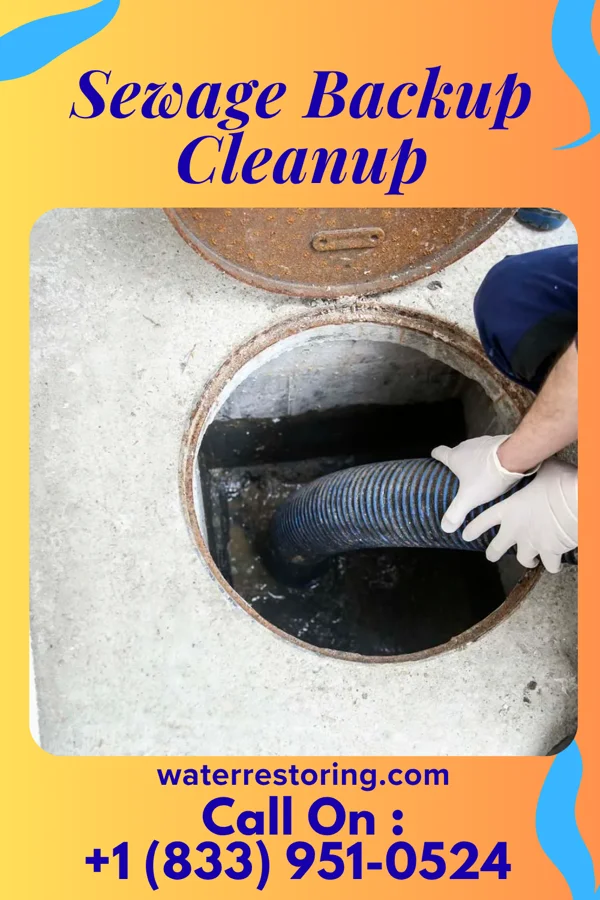 Sewage Backup Cleanup in West Millgrove, OH